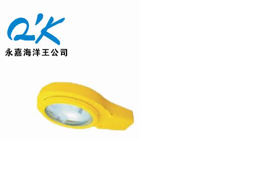 供应BLC8610防爆道路灯